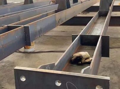 eaaf0ed3-0a85-4764-8cb8-c721c0d4502c